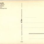 Locarno-Brione - Hotel Dellavalle