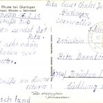 Die Rhone bei Gluringen