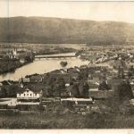 Stein