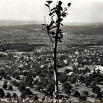 Dornach