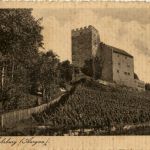 Schloss Habsburg