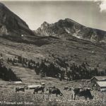 Jungfrau