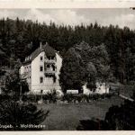 Wolkenstein - Waldfrieden