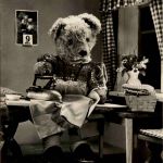 Teddy Bär