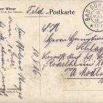 Wein - Pfälzer Winzer