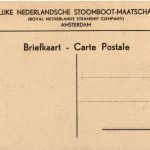 Enkhuizen - Dromedaris