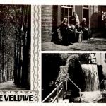 Op de Veluwe