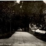 Rotterdam - Oude Plantage