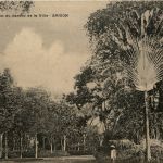 Saigon - Jardin de la Ville