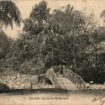 Saigon - Jardin Botanique