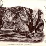 Jardin de la Ville de Saigon