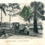Saigon - Jardin botanique