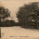 Tonkin Jardin Botanique