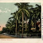 Nunanu Avenue Honolulu