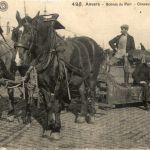 Anvers - Chevaux de Corporations