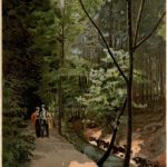 Forellenbach - Grosser feldberg
