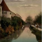 Weiden