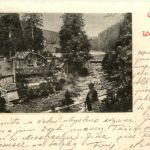 Gruss aus der Wurzhütte