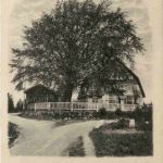 Bielhaus in Eibenstock