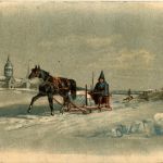 Pferd mit Kutsche