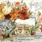 Gruss aus dem Palmengarten Frankfurt - Litho