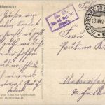 Blaurake - Feldpost