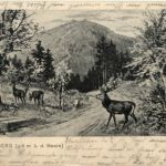 Grosser Inselsberg