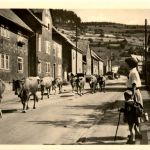 Pappenheim - Fridichrodaer Strasse
