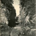 Partie aus dem Trusenthal