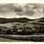 Floh bei Schmalkalden