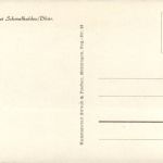 Floh bei Schmalkalden