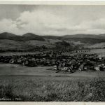 Floh bei Schmalkalden