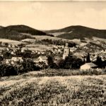 Floh bei Schmalkalden