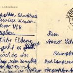 Floh bei Schmalkalden