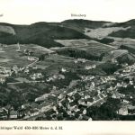 Floh bei Schmalkalden