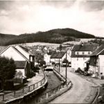 Floh bei Schmalkalden