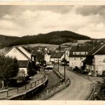 Floh bei Schmalkalden