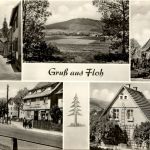 Gruss aus Floh