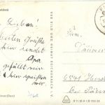 Floh bei Schmalkalden