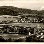 Floh bei Schmalkalden