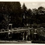 Bad Polzin - Karpfen Teich