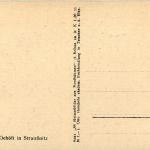 Straussnitz