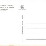 Fassbauer - Wein