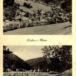 Sieber Harz