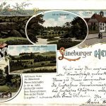 Gruss aus der Lüneberger Heide - Soltau Lith - Litho