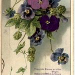 Karte mit blumen und Stoff