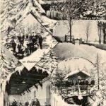 Hohwald - Neustadt