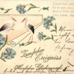 Geburt - Storch