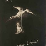 Geburt - storch