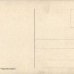 Höhkönigsburg Panorama